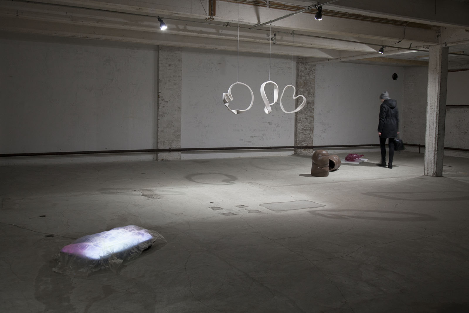 dear ventricle by sofie hertz