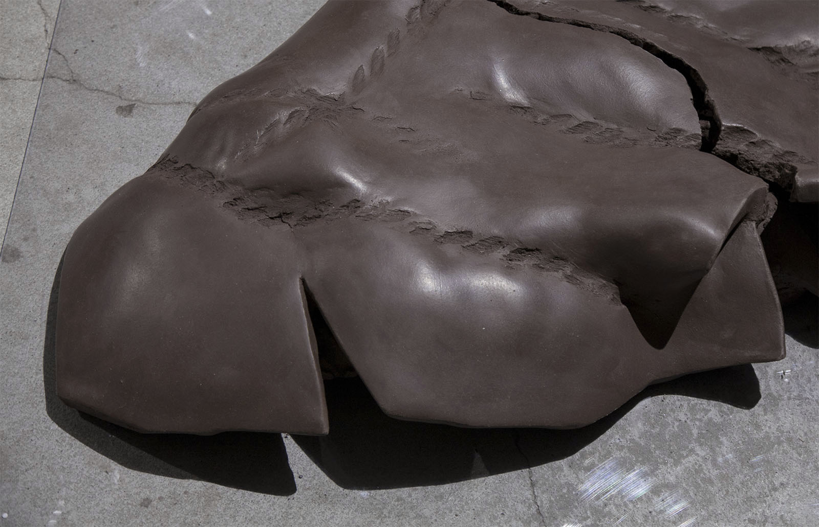 dear ventricle by sofie hertz