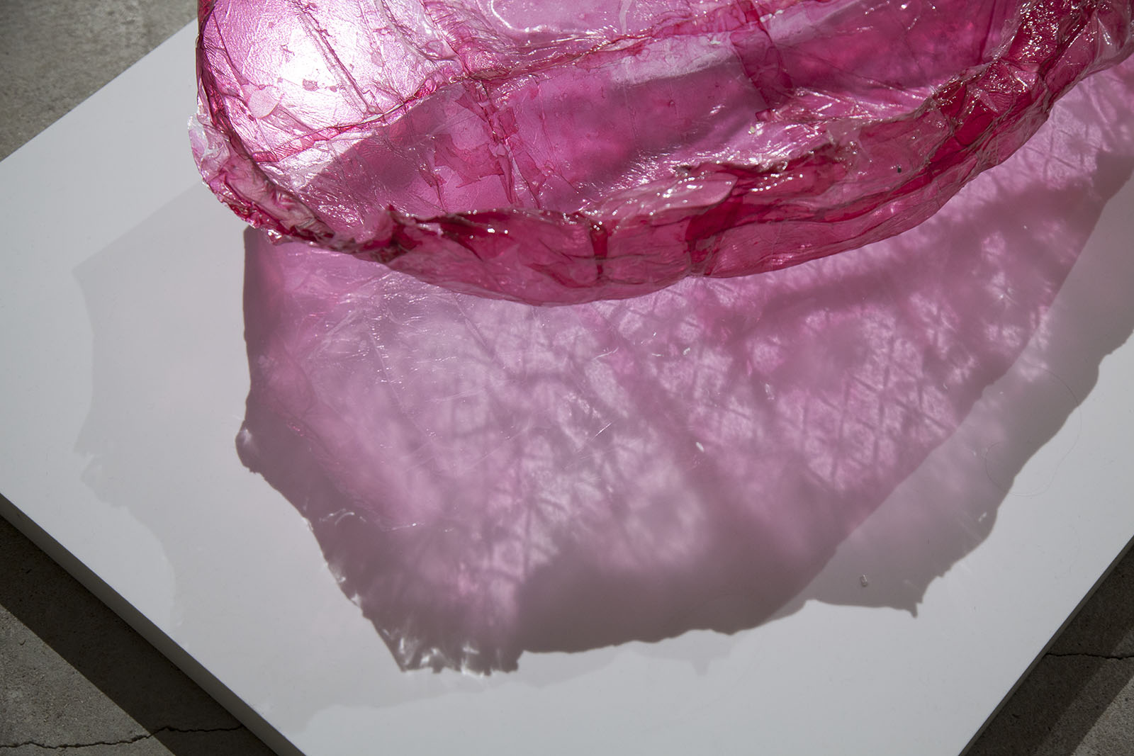 dear ventricle by sofie hertz
