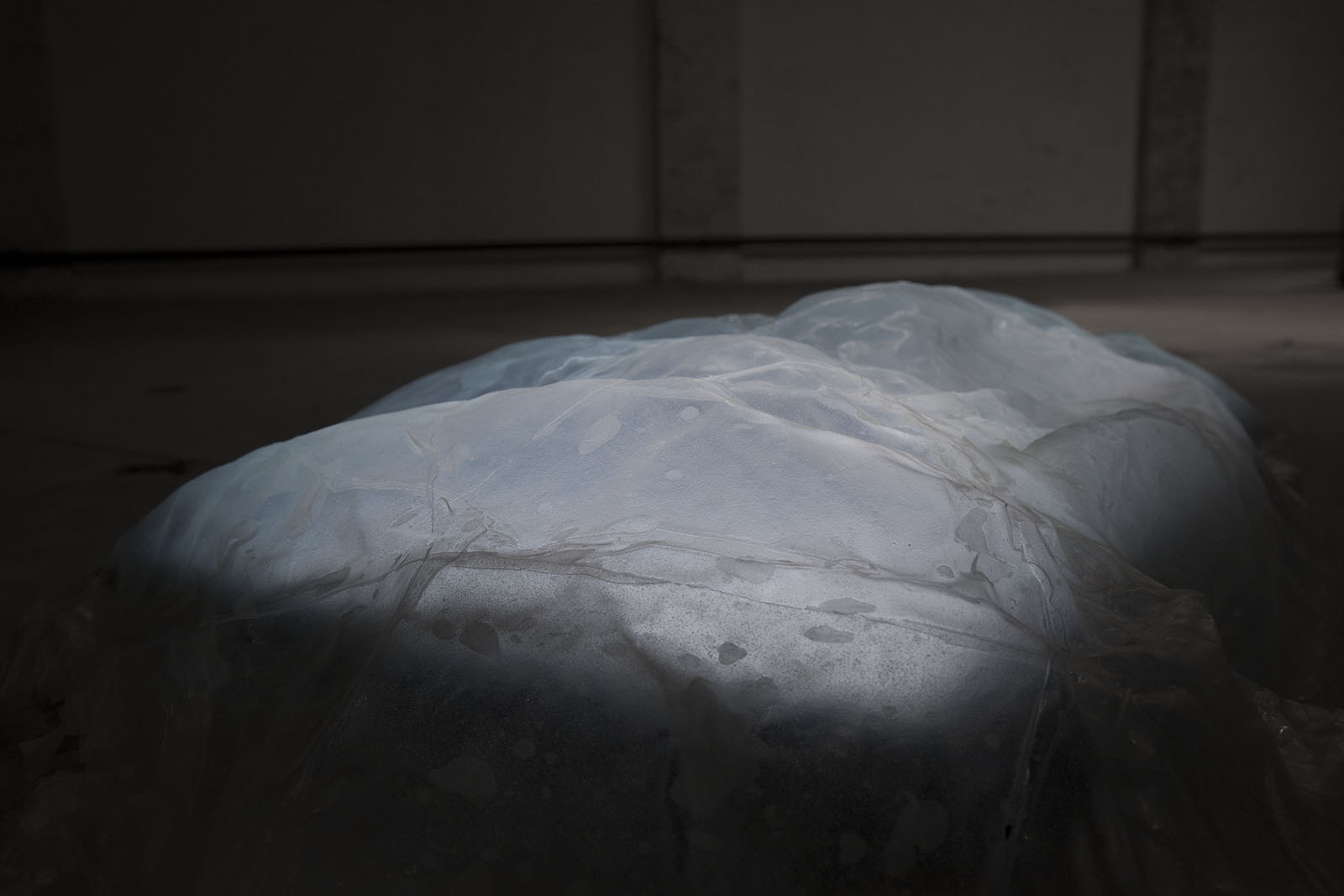 dear ventricle by sofie hertz