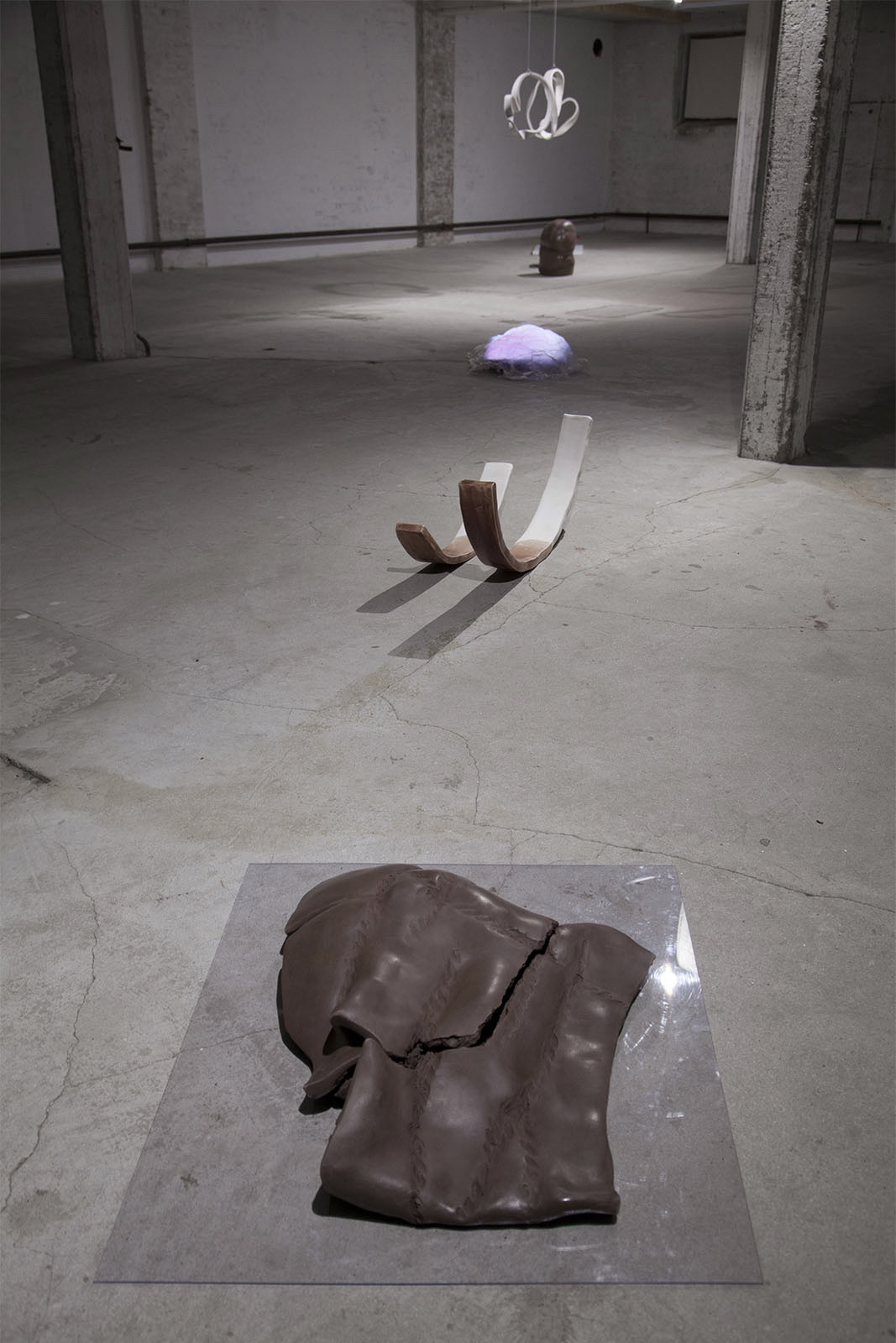 dear ventricle by sofie hertz