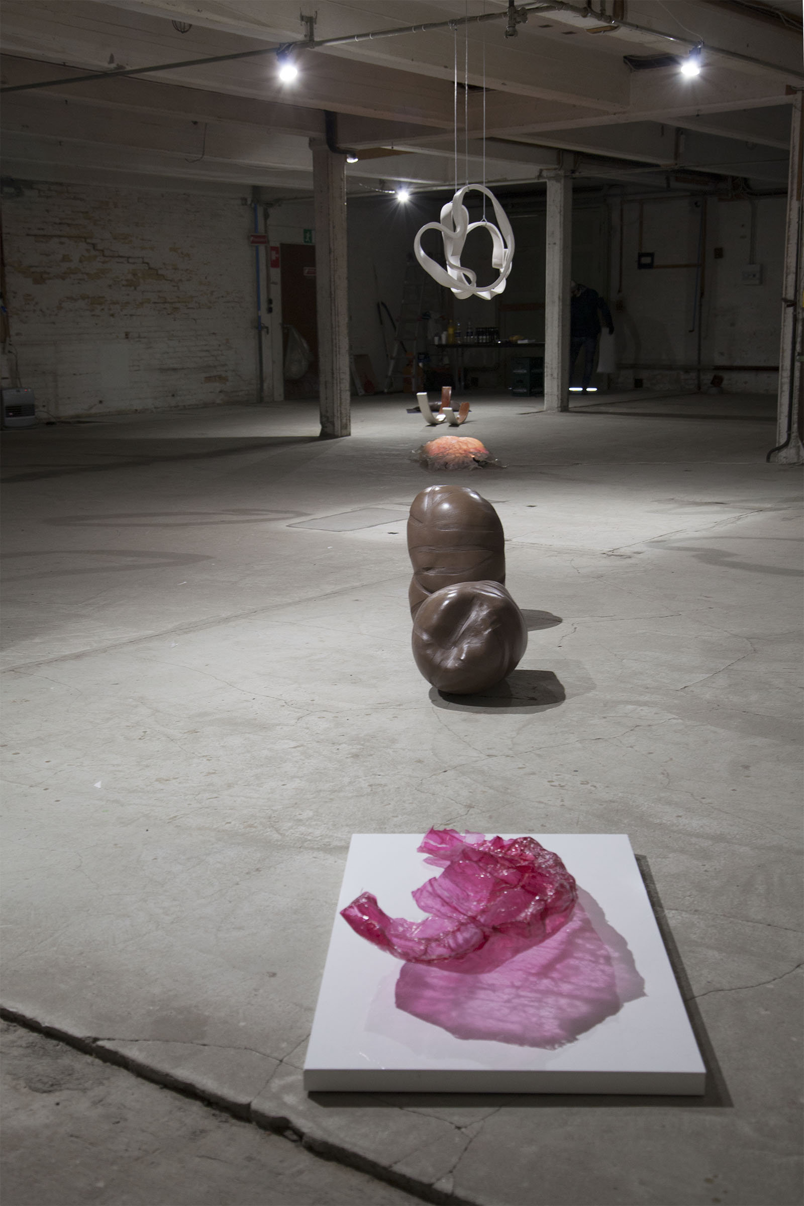 dear ventricle by sofie hertz