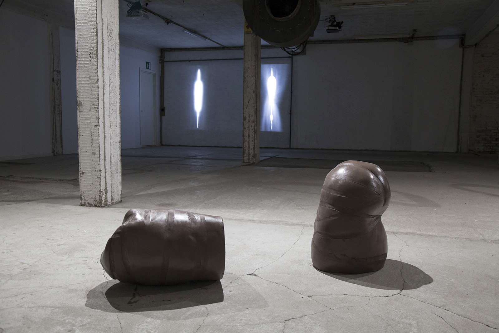 dear ventricle by sofie hertz