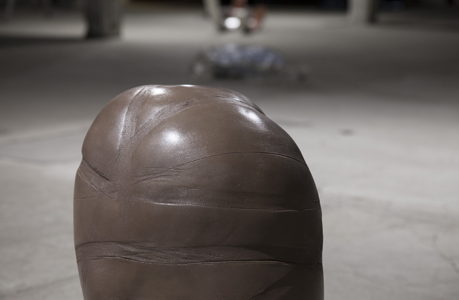 dear ventricle by sofie hertz