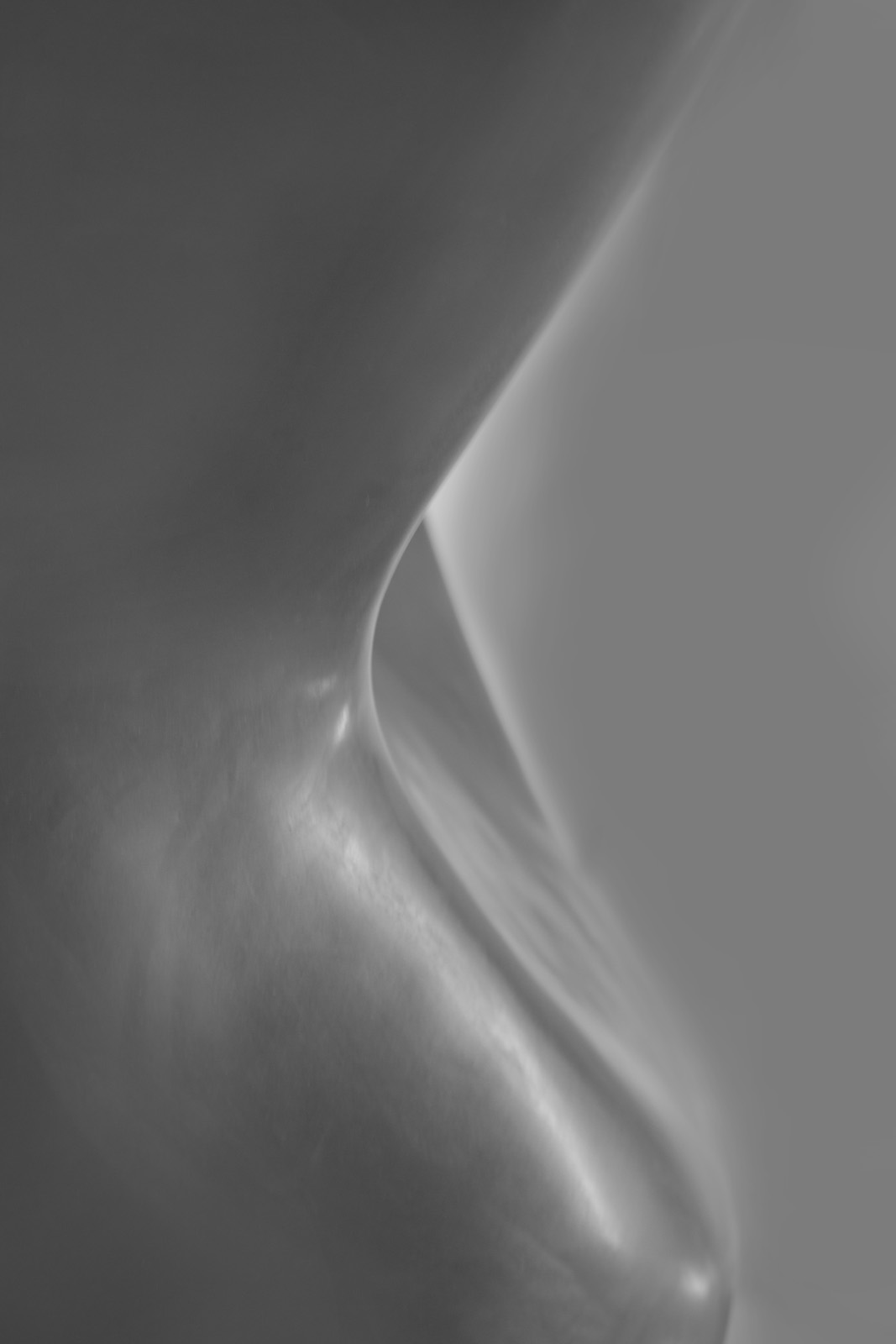 flowcuts by Sofie Hertz