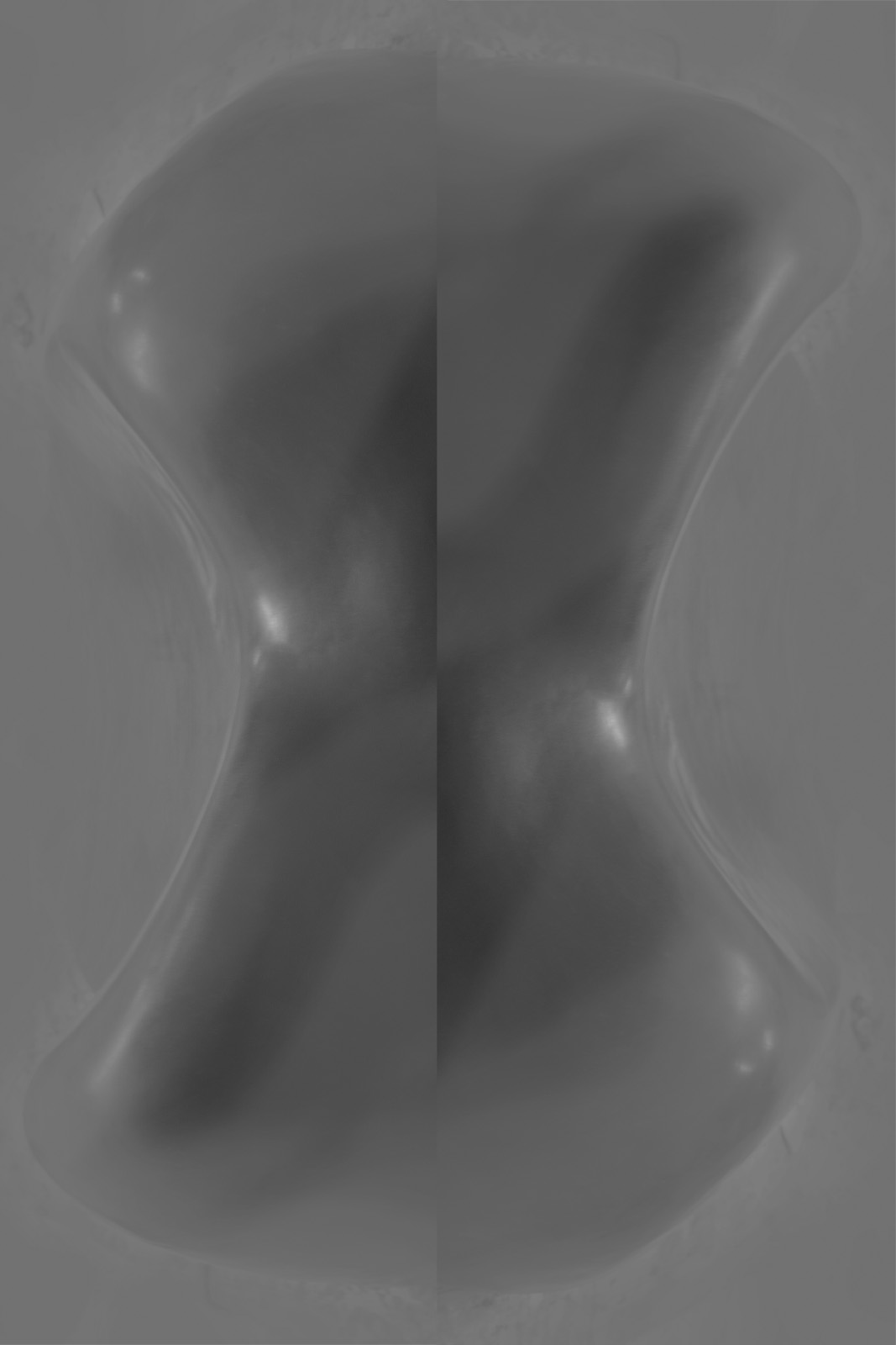 flowcuts by Sofie Hertz