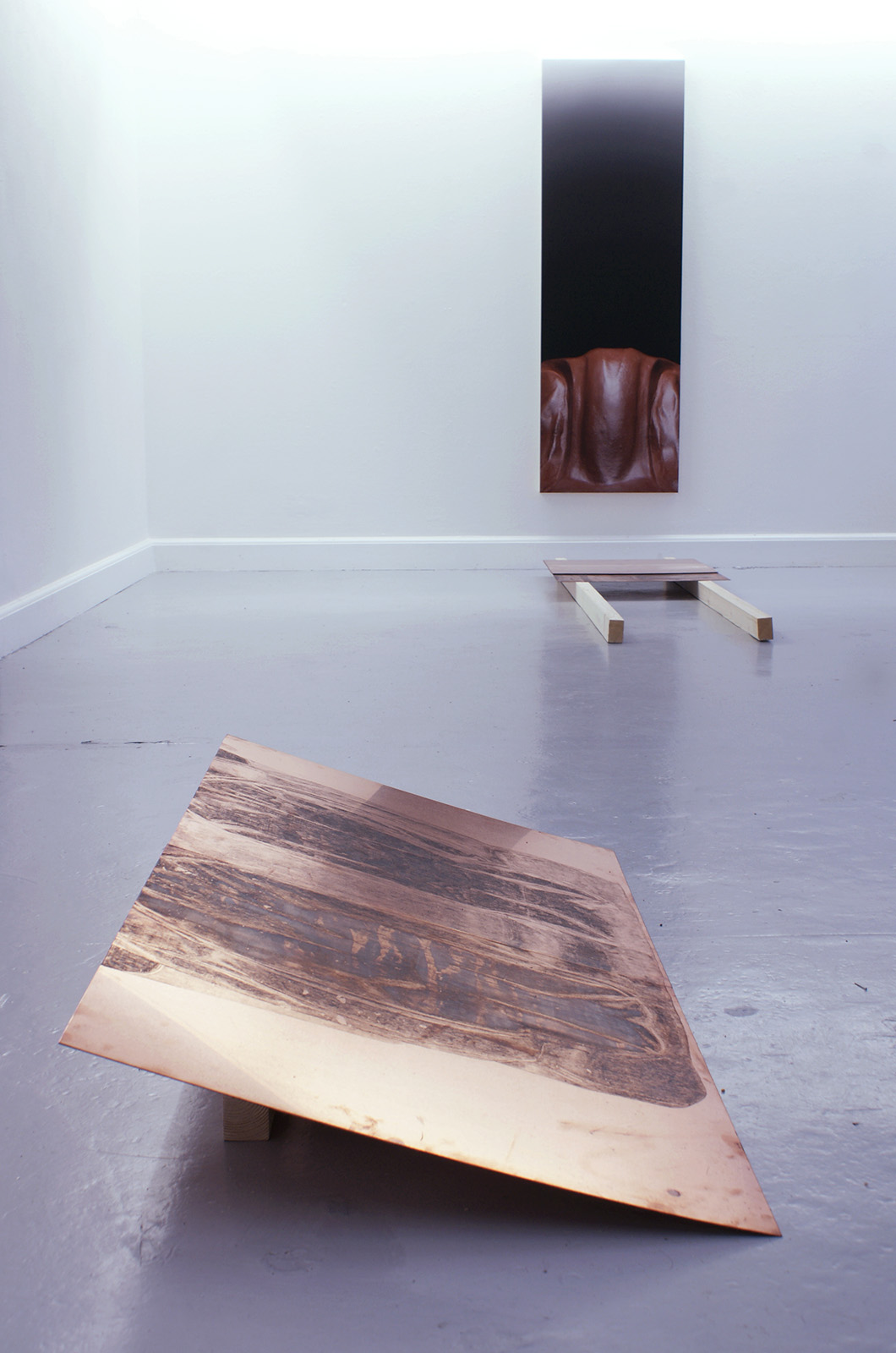 fossils4desires by sofie hertz