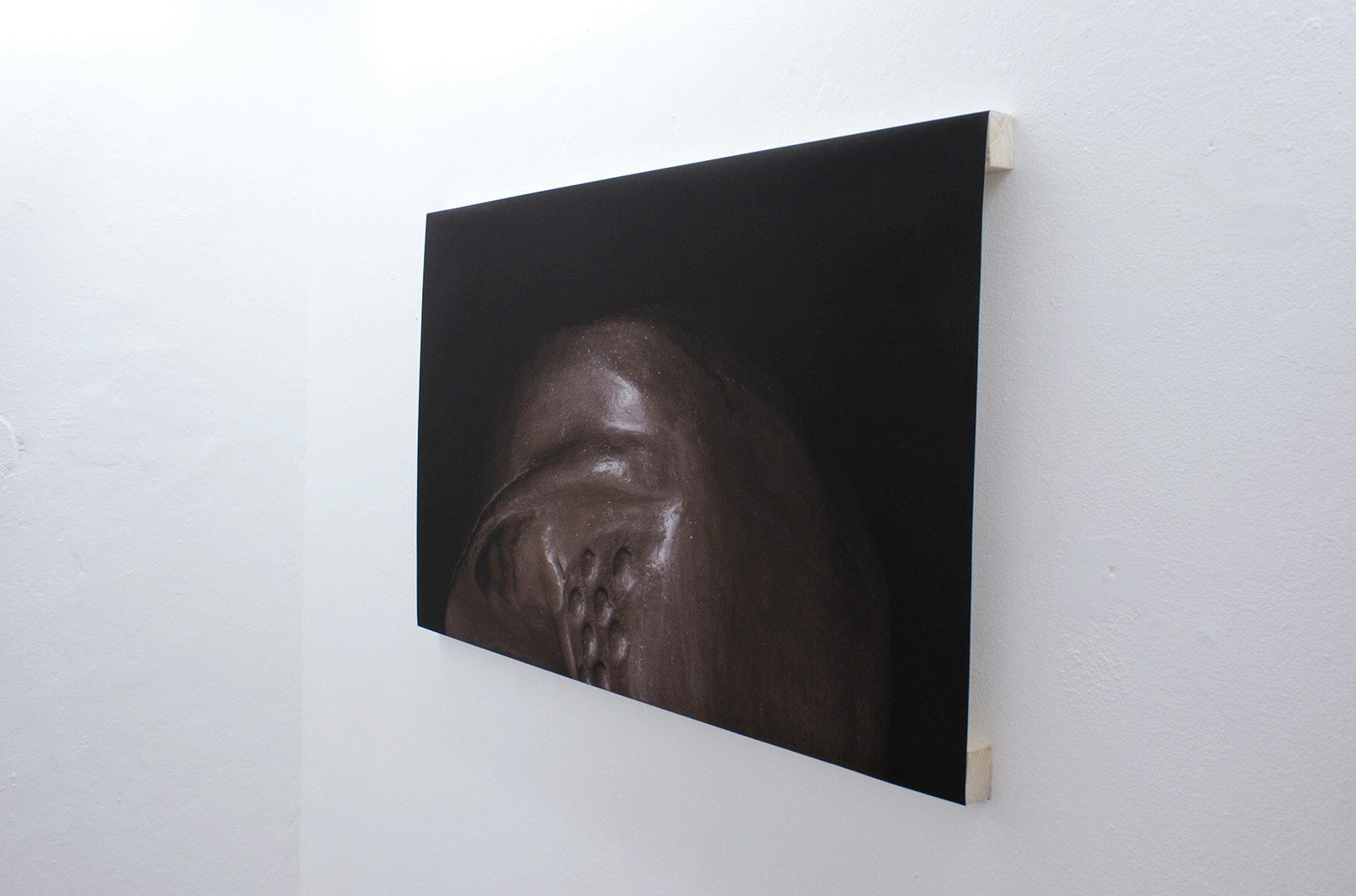 fossils4desires by sofie hertz