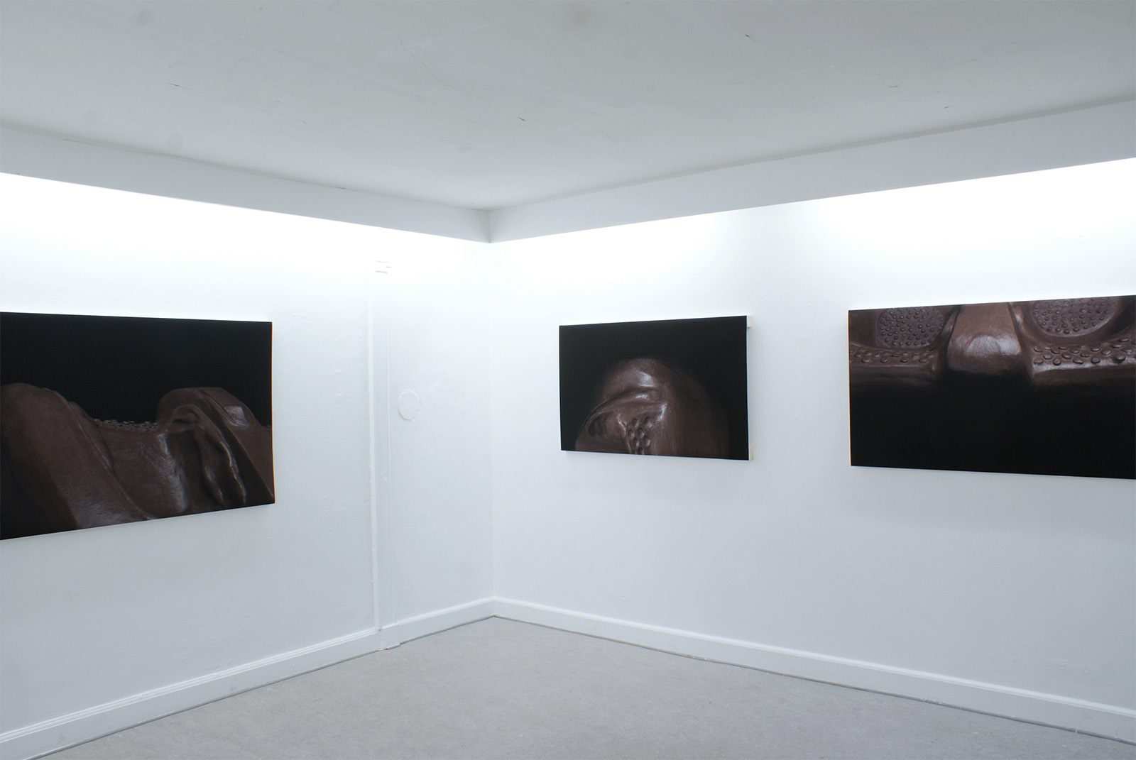 fossils4desires by sofie hertz