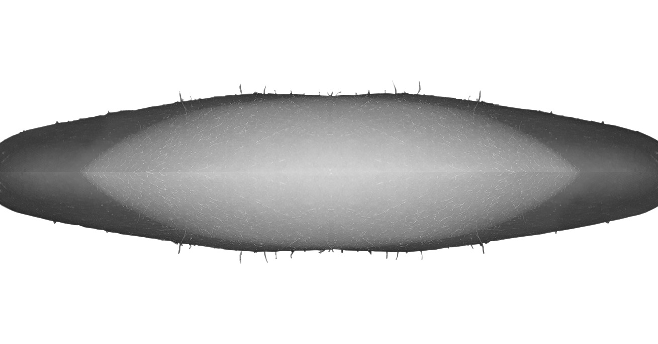 model7