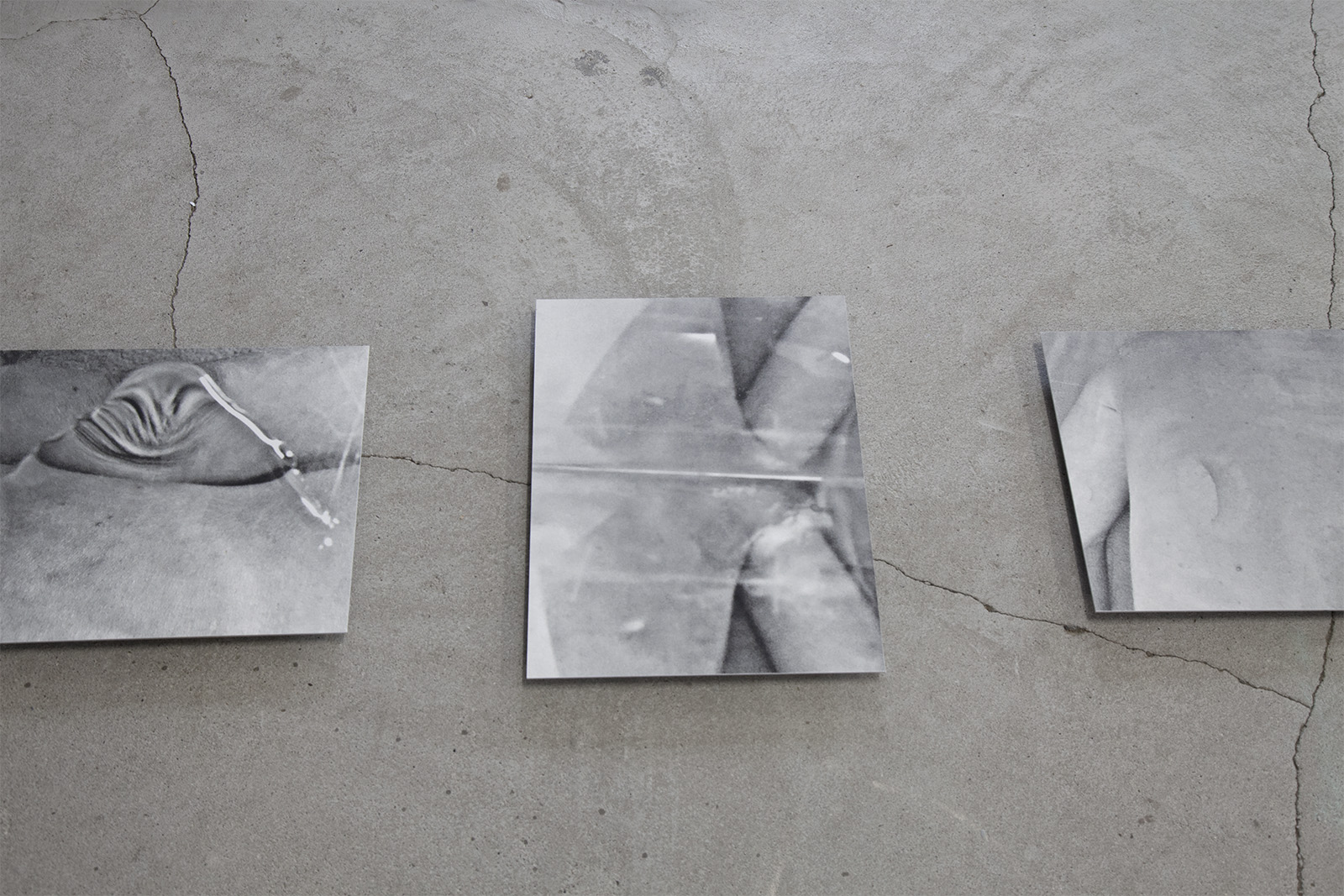 rippleby sofie hertz