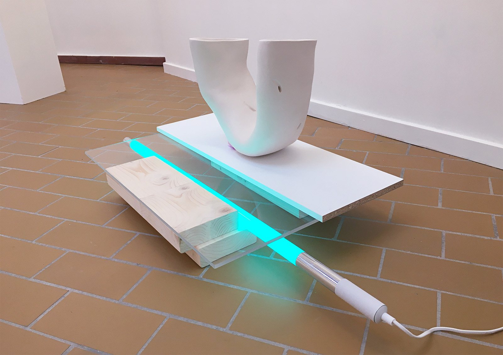 U Anobium by Sofie Hertz